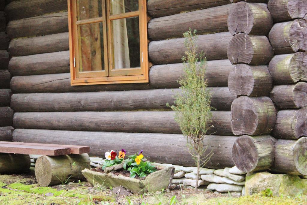 Hotel Kuuli Puhkemajad Tagaranna Camera foto